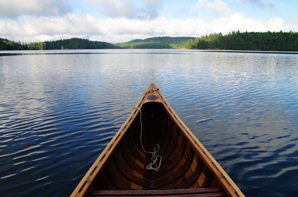 brown boat on blue body of water in front of green trees