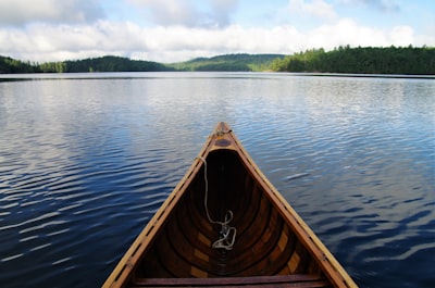 brown boat on blue body of water in front of green trees canoe google meet background