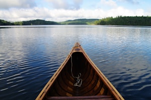 brown boat on blue body of water in front of green trees