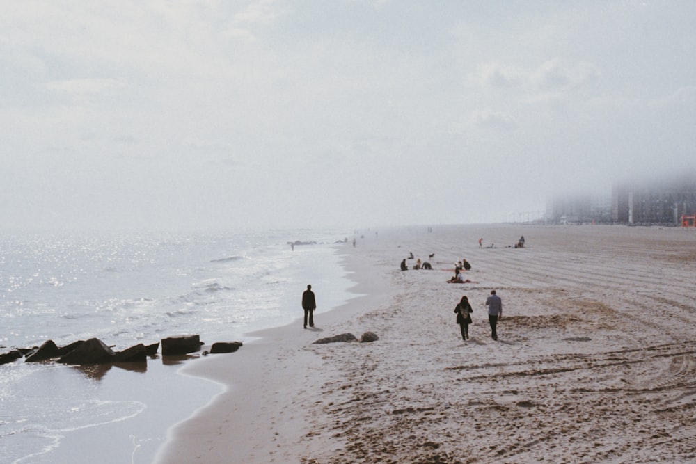 people on seashore