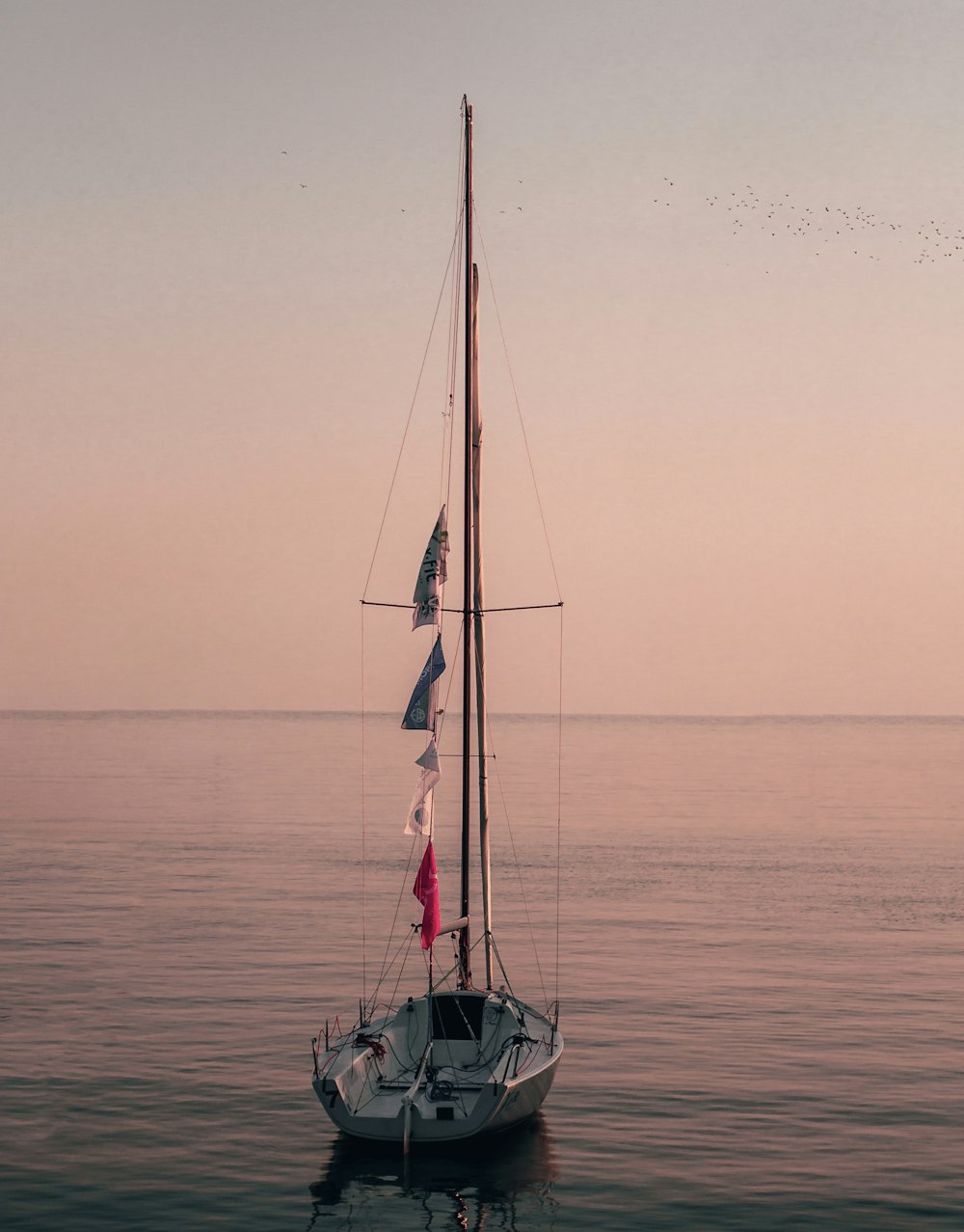 white boat on body of water