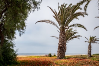 A peaceful retreat setting with ocean views, inviting reflection and growth.
