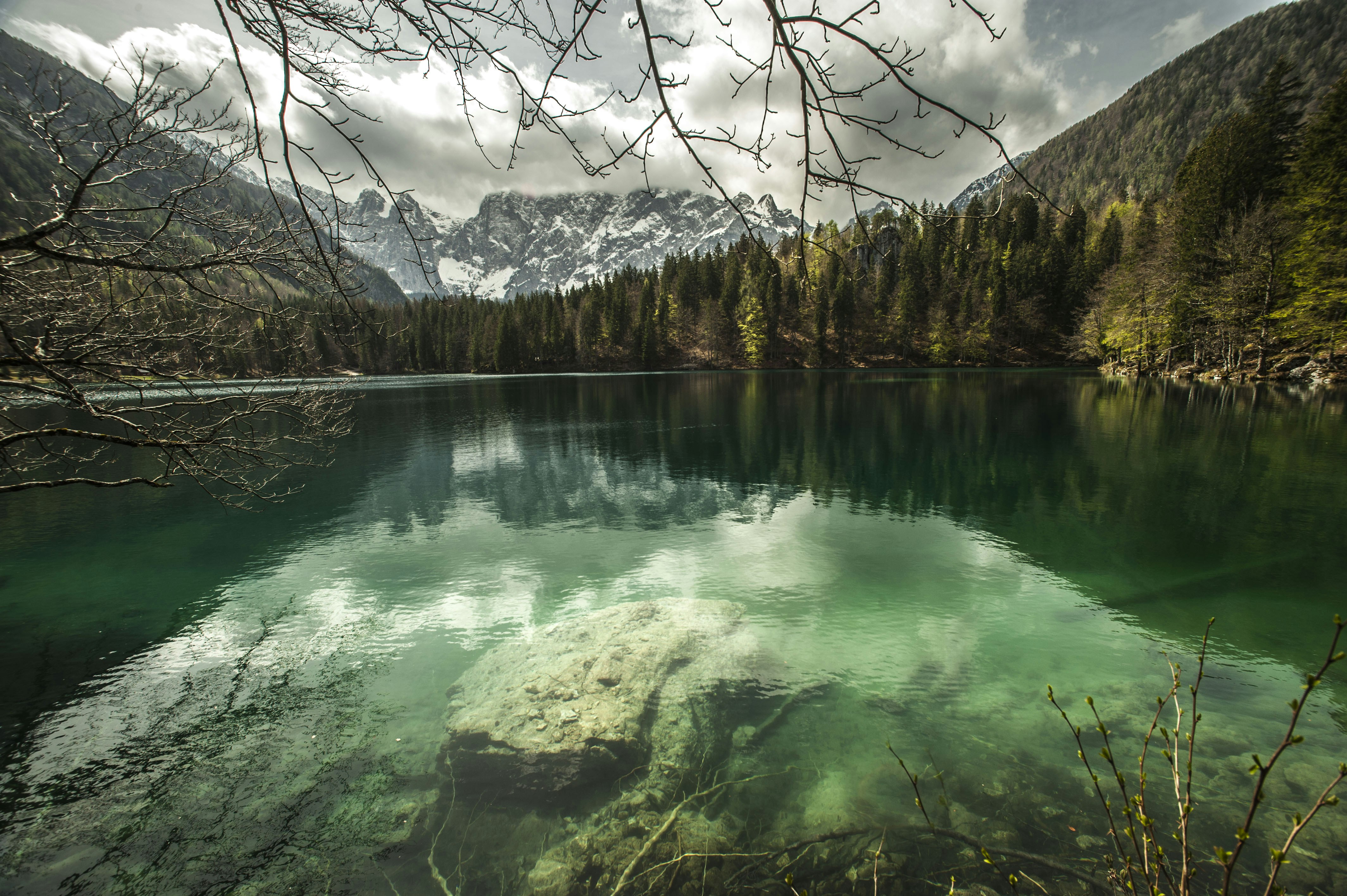 Photo by gopitri_prem