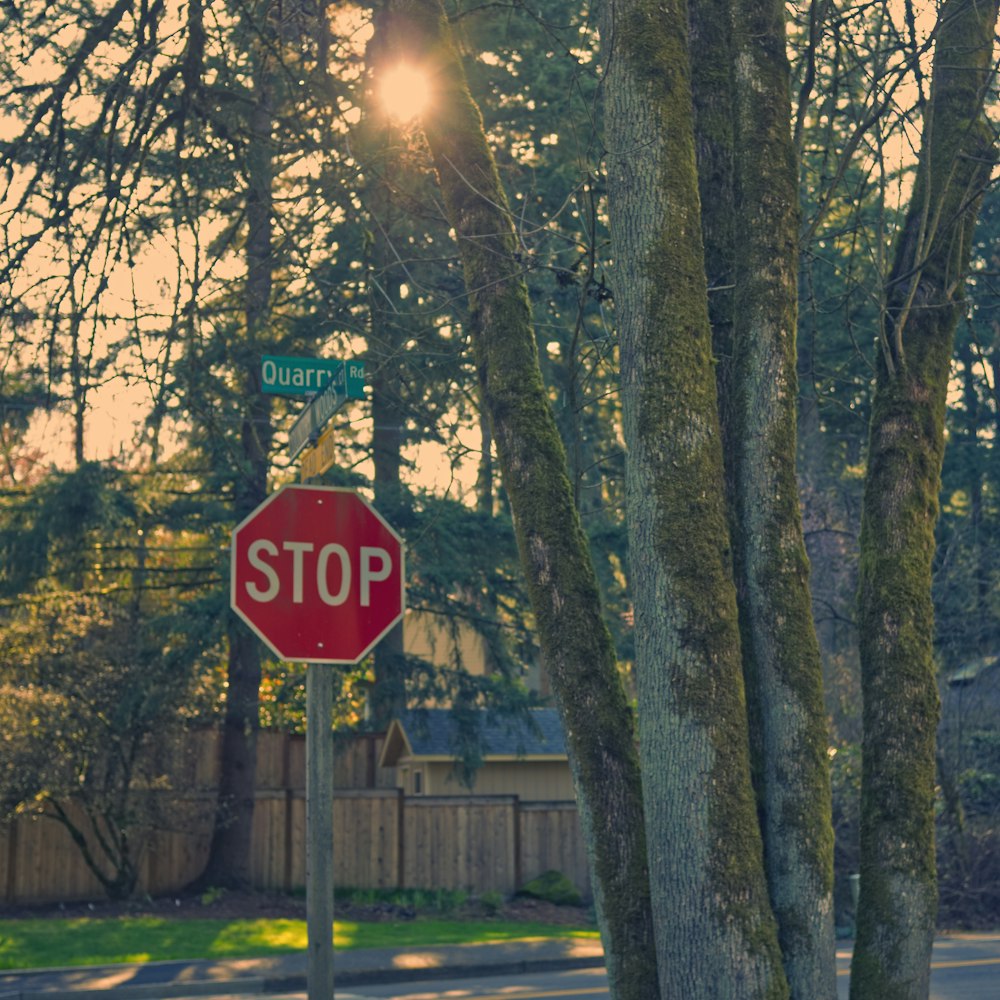 red stop road signage beside moss covered trees