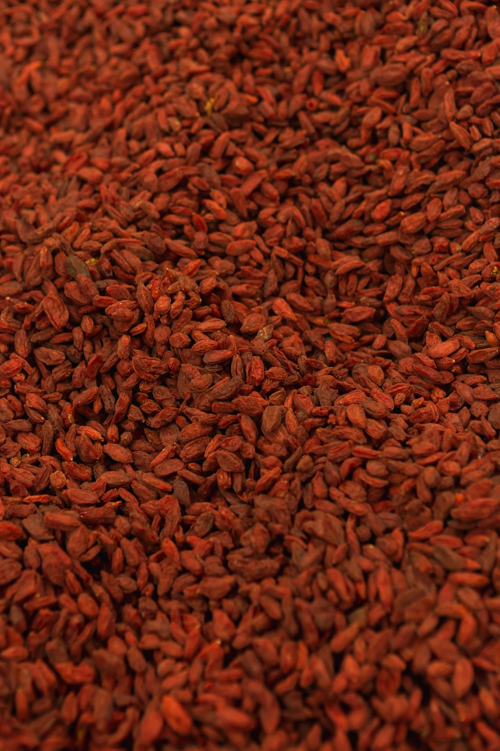 a close up of a pile of red seeds
