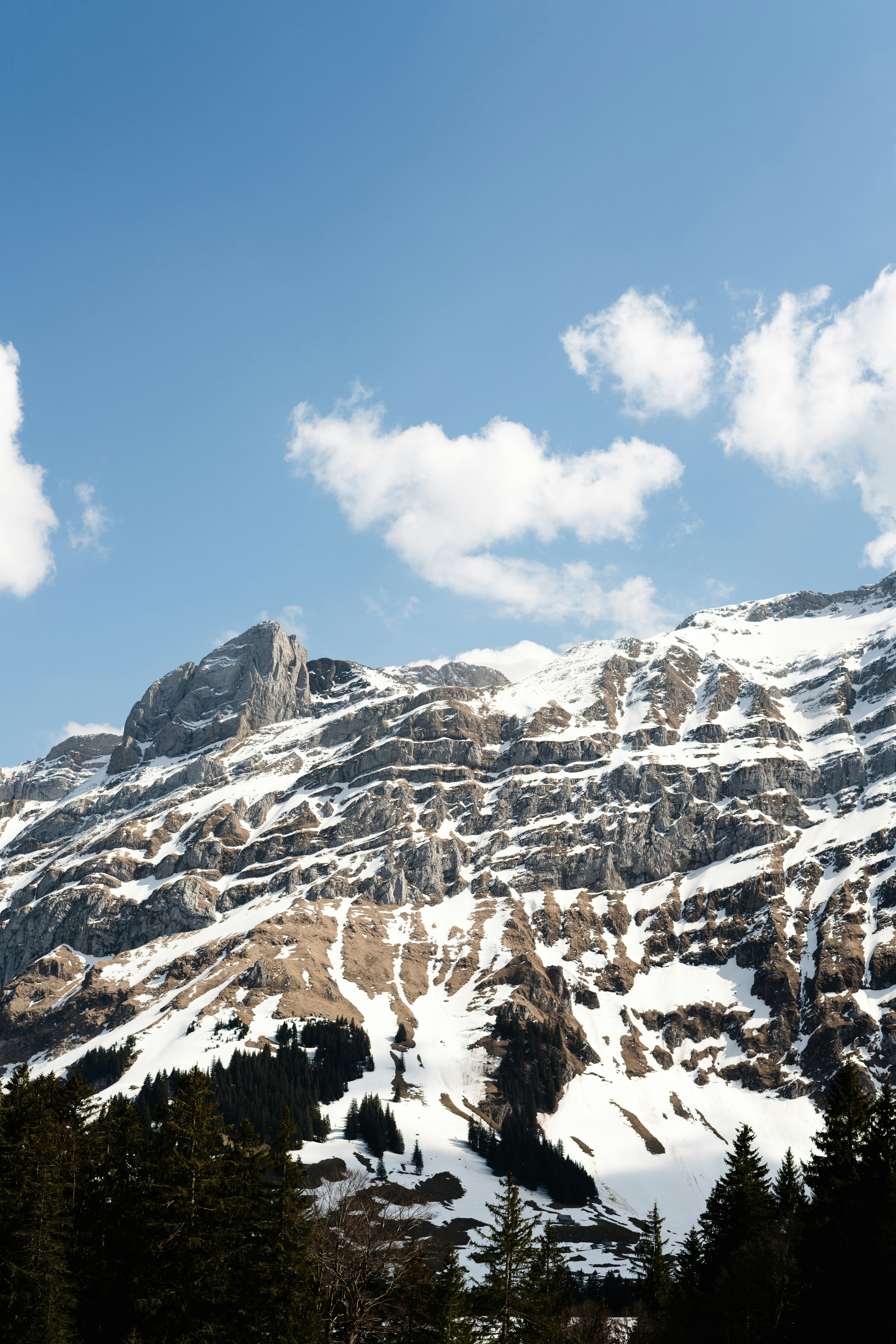 Photo by pascale_amez