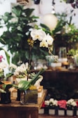 A serene arrangement of white orchids and greenery on a wooden table.