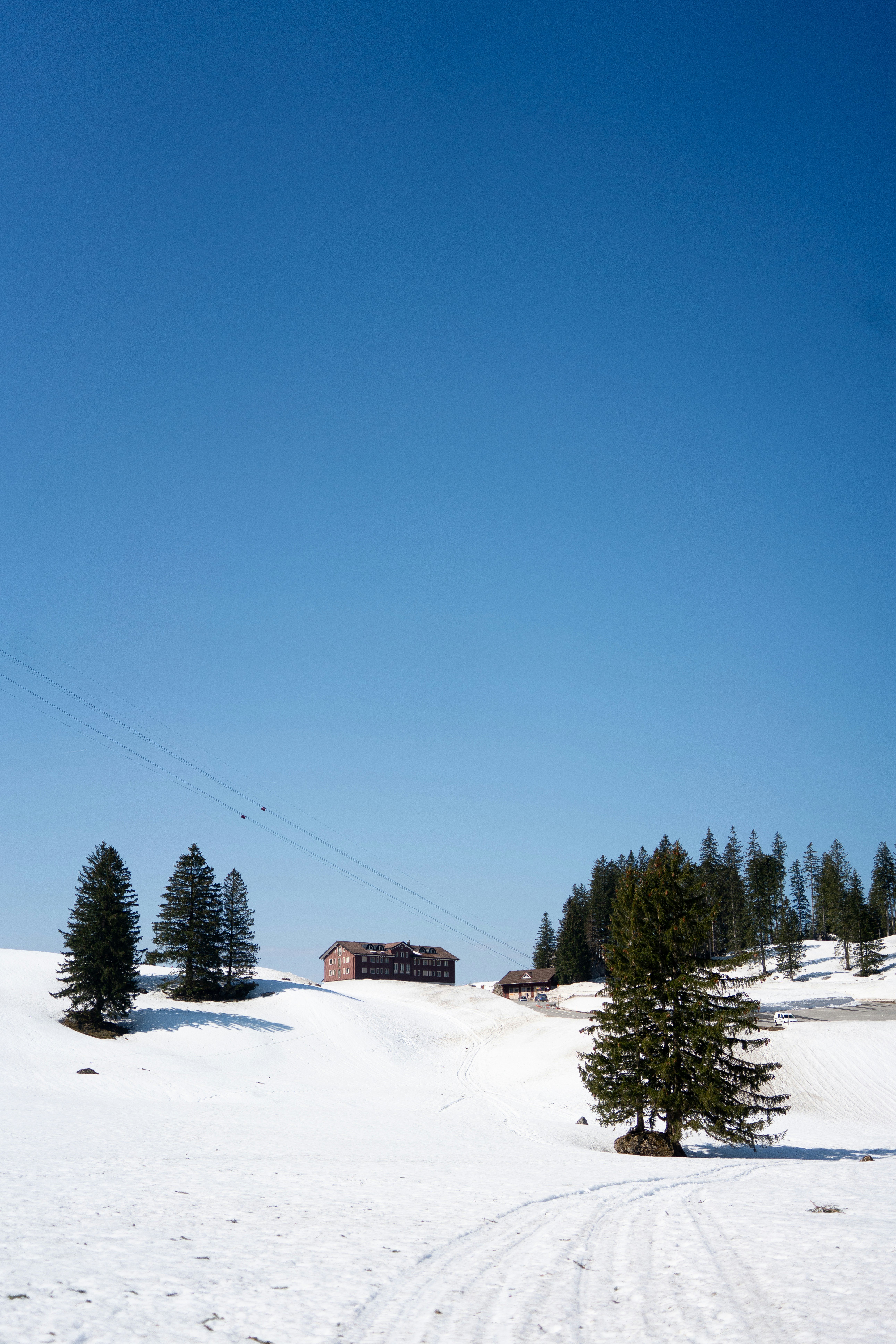 Photo by pascale_amez