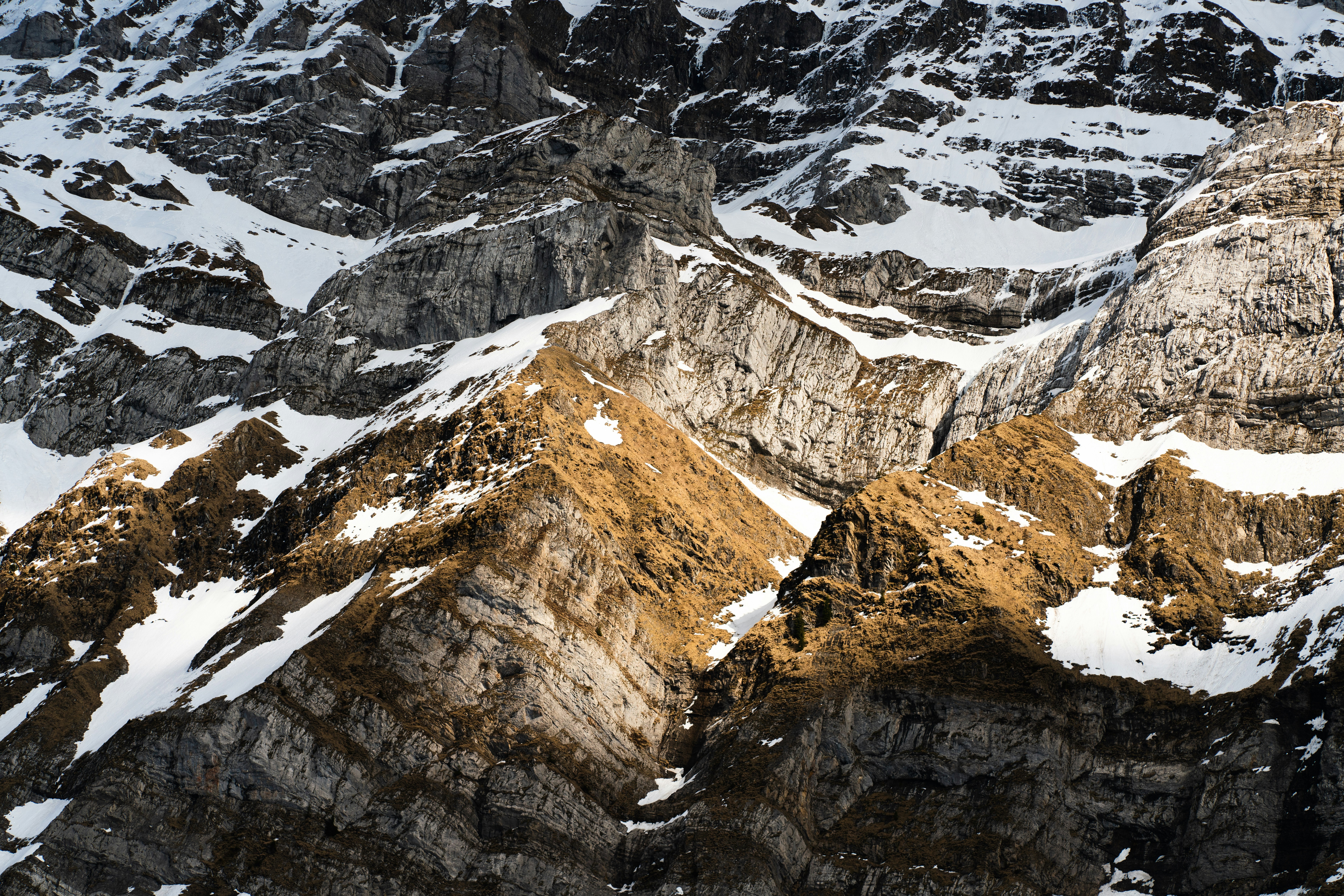 Photo by pascale_amez