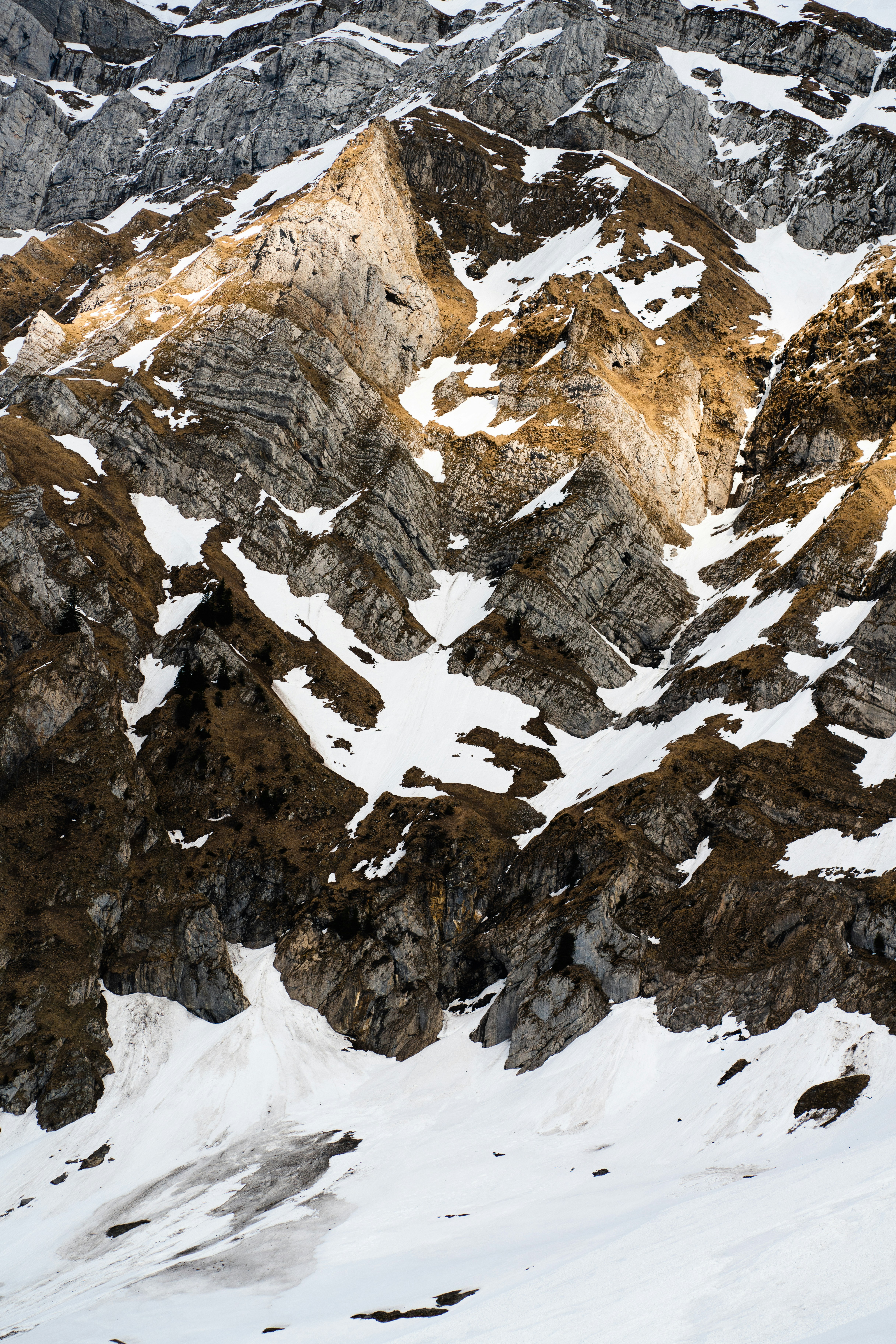 Photo by pascale_amez