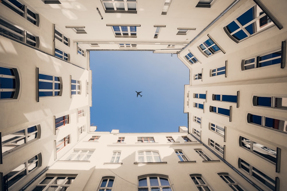 plane above white building