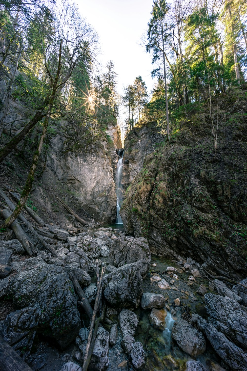 waterfalls in forest