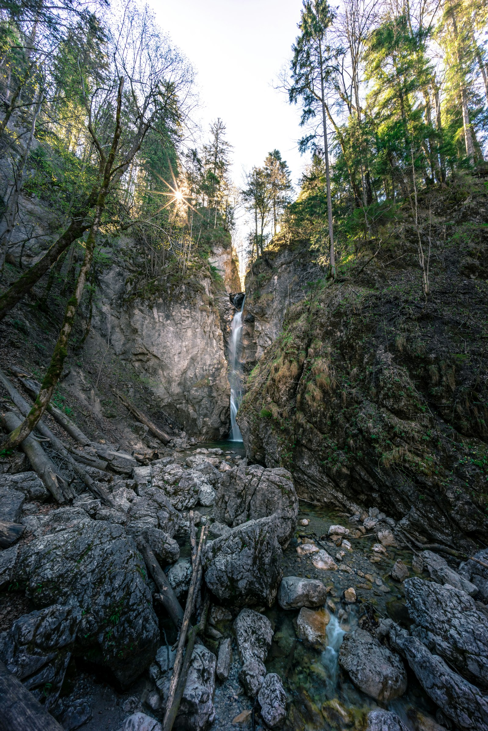 Sony a7R + Voigtlander ULTRA WIDE-HELIAR 12mm F5.6 III sample photo. Waterfalls in forest photography