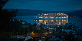 cruise ship near dock at night