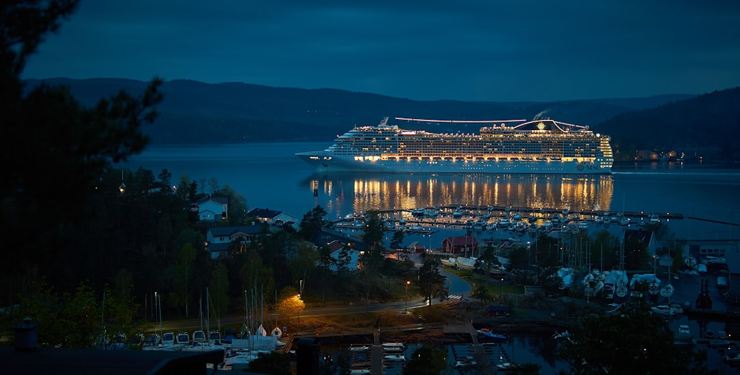 cruise ship near dock at night