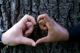 Hands of different skin tones coming together to form a heart shape.