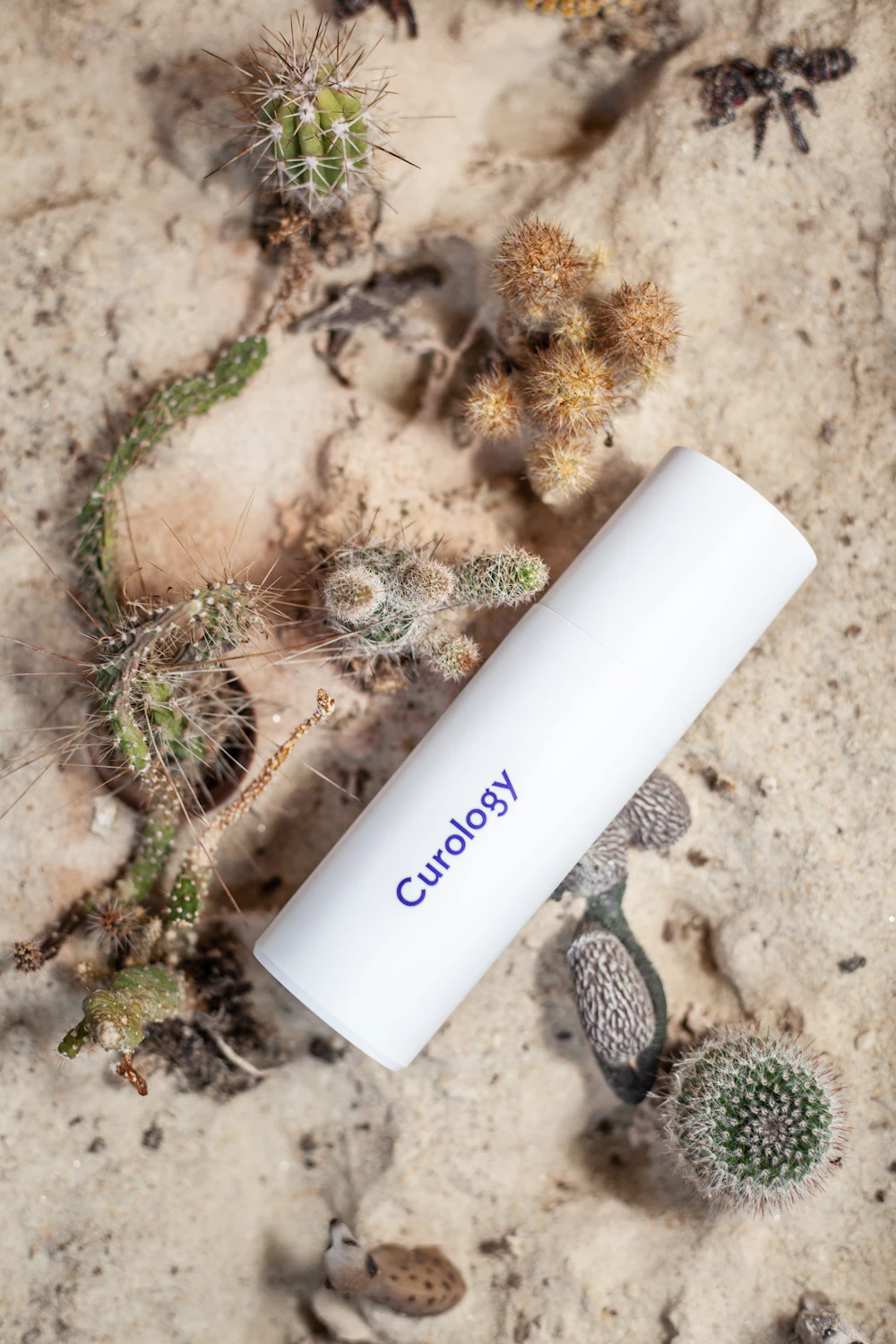 Productos de cosmética natural con ingredientes boreales