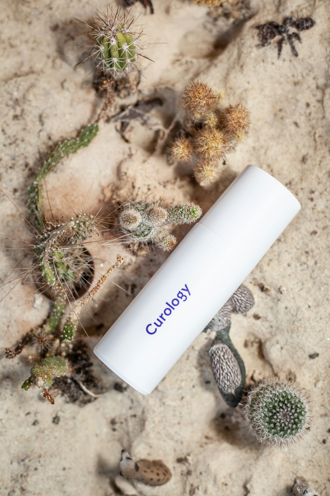 Mineral sunscreen product with botanical ingredients