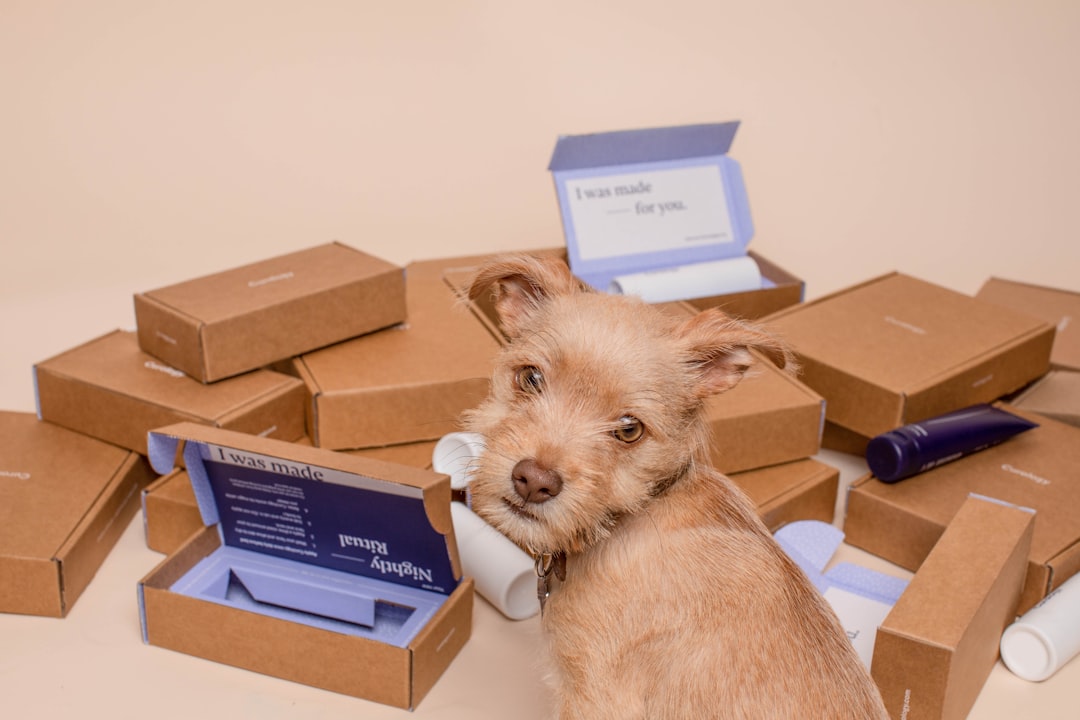 What is The Cheapest Way to Ship Bulk Boxes?