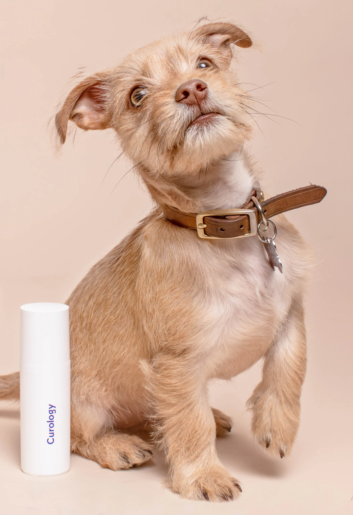 Gold bars stacked — a store of value