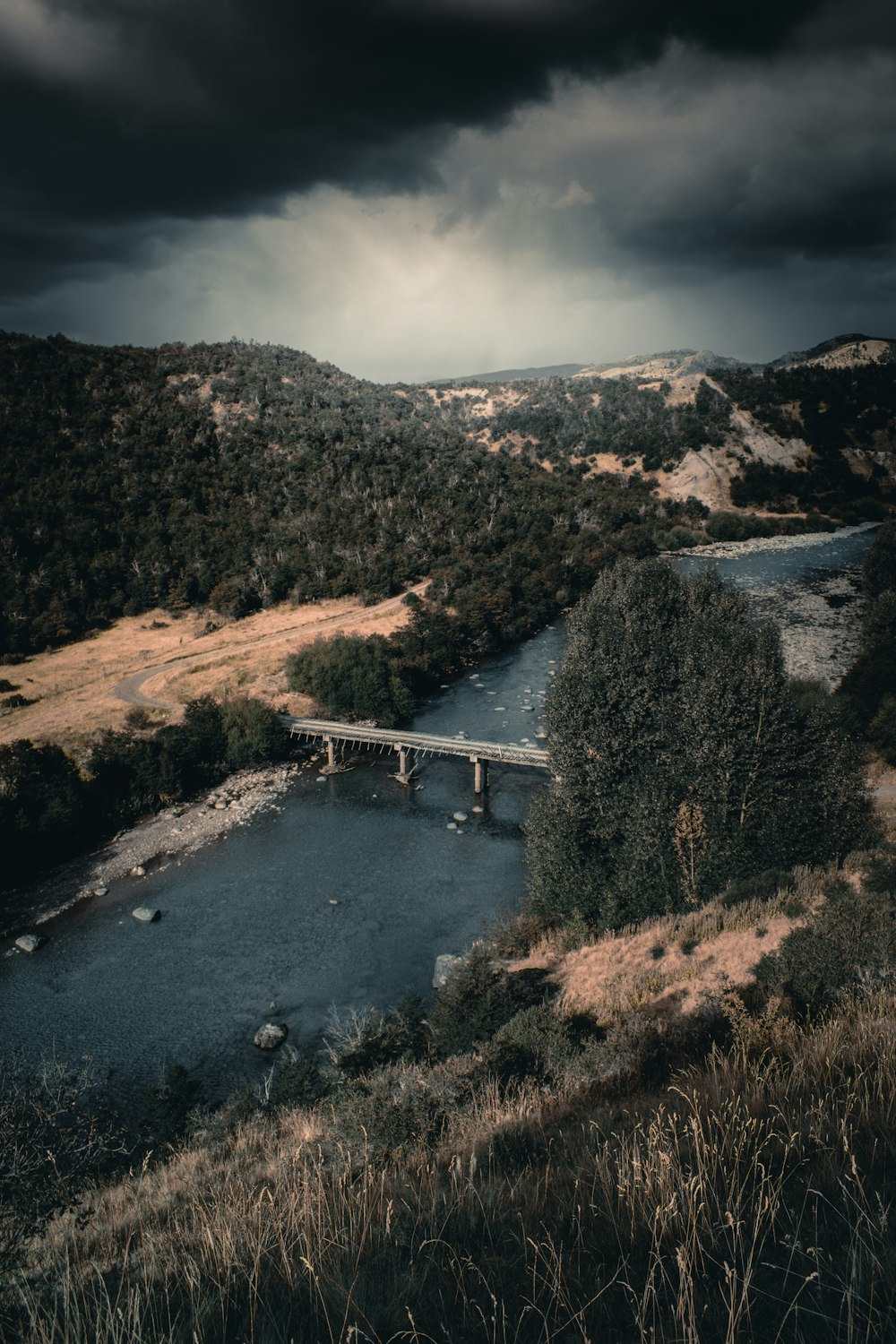 aerial photography of gray bridge during daytime