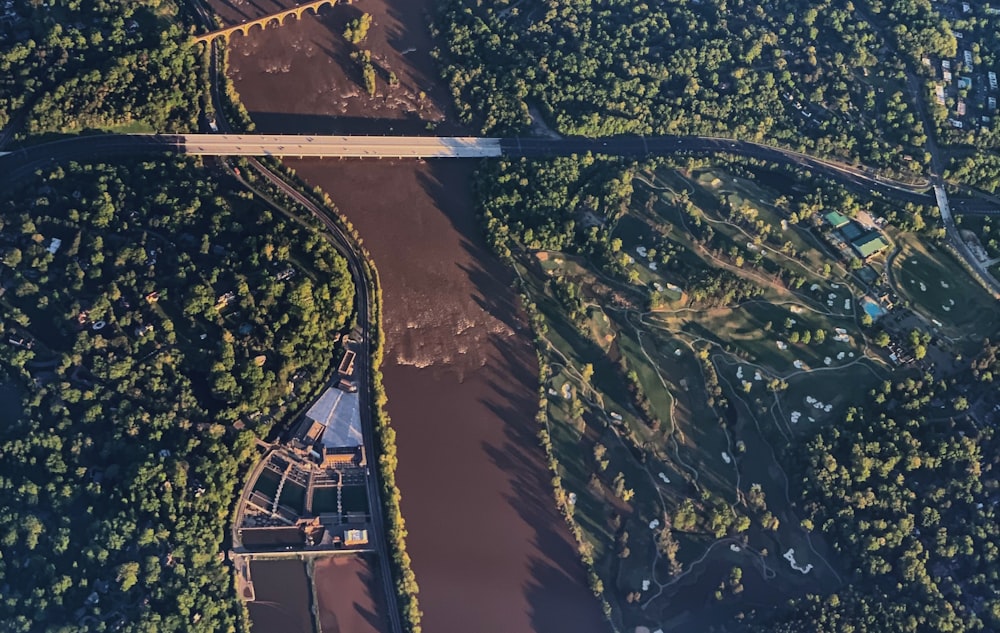 aerial photography of road between trees