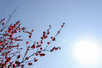 Golden flowers blooming under a clear sky representing unexpected rewards.