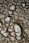 Cracked and dry earth with large, irregular chunks scattered across the surface, highlighting a parched and barren landscape.