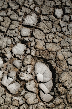 Cracked and dry earth with large, irregular chunks scattered across the surface, highlighting a parched and barren landscape.