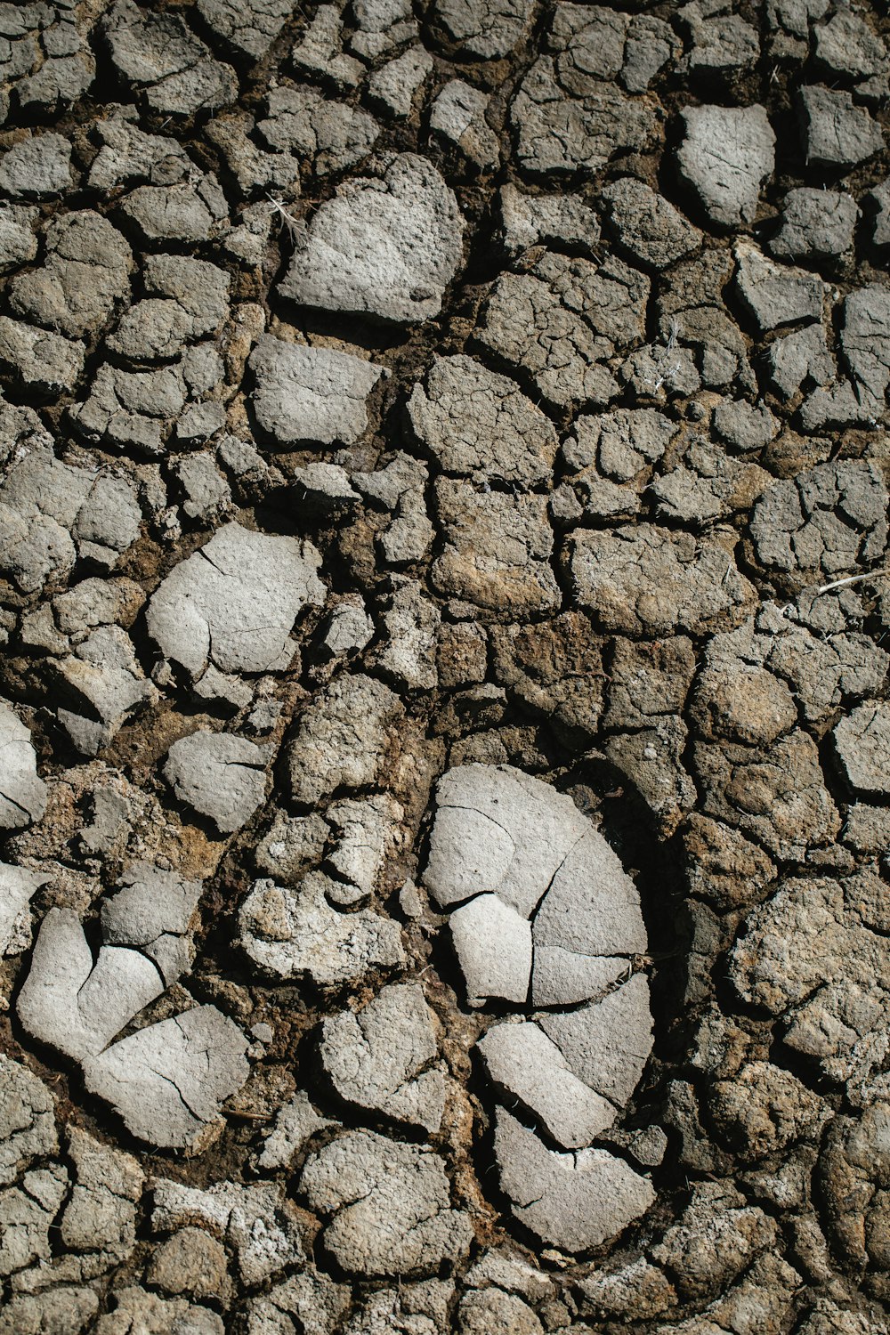 footprints in cracked soil