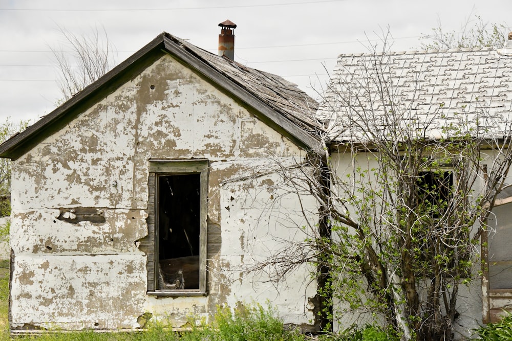 white concrete house