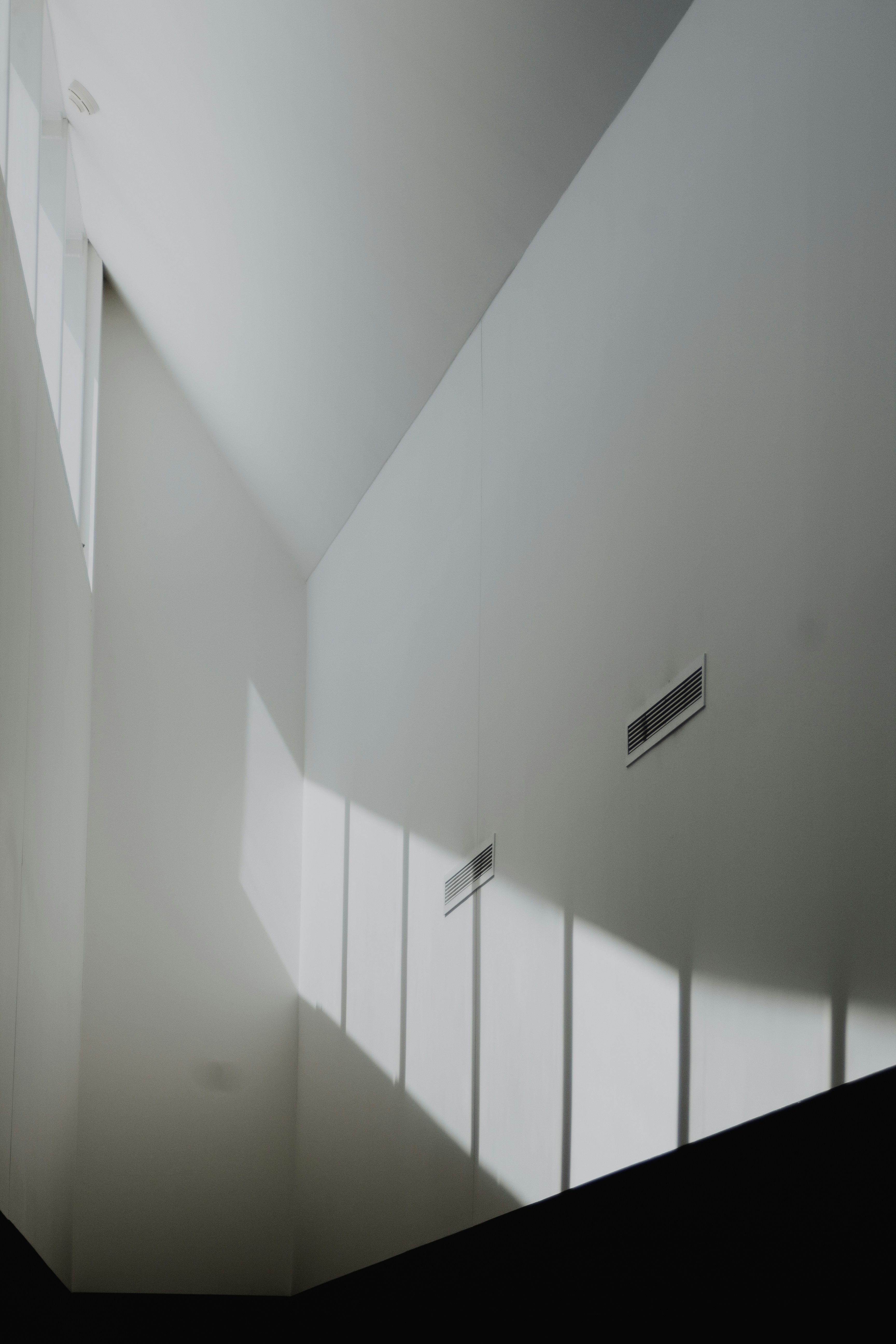 Photo by hayleymurrayphoto