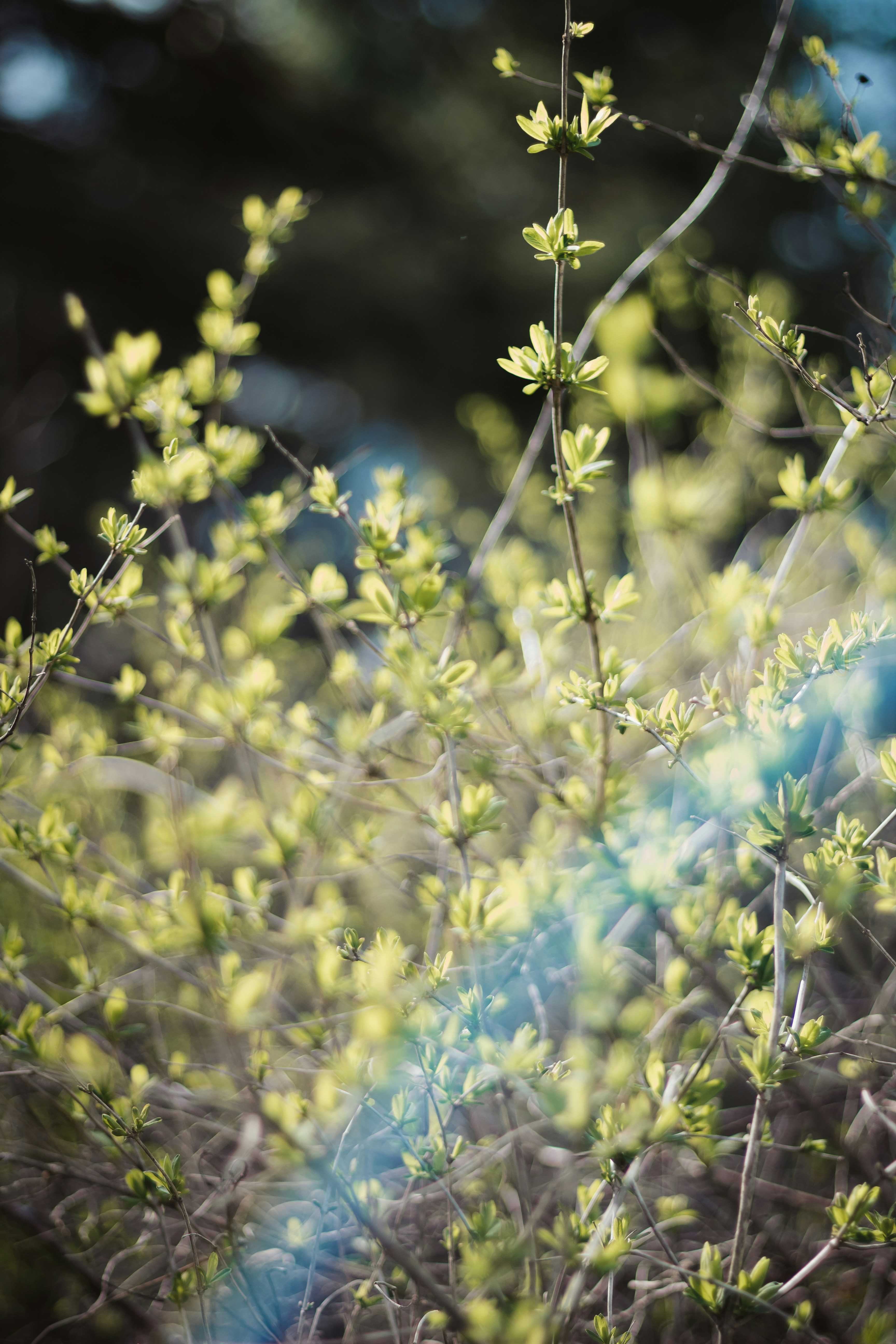 Photo by hayleymurrayphoto