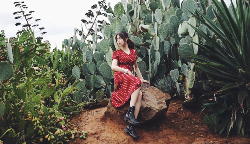 woman sitting on stone near cacti plants
