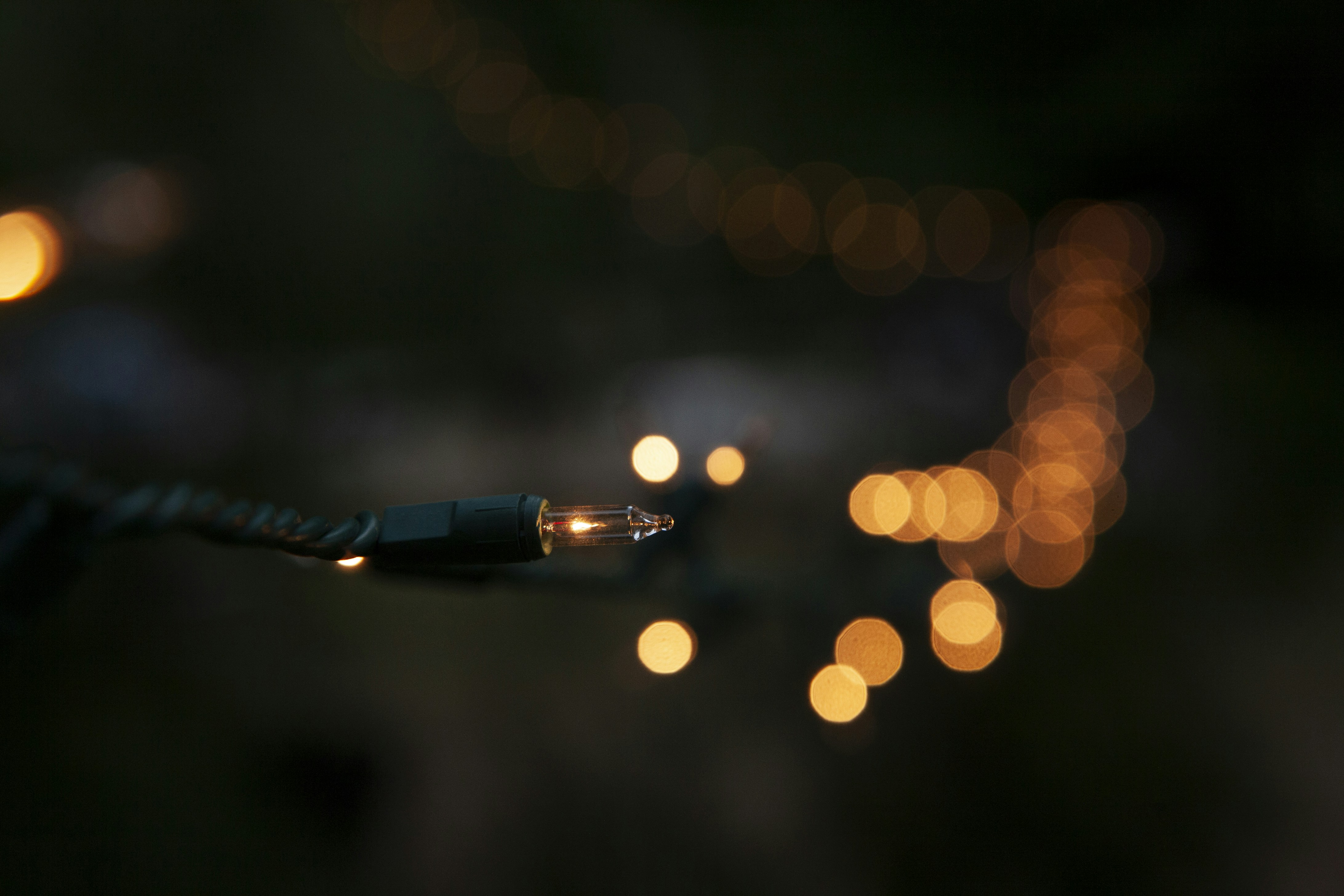 Photo by danielgregoire