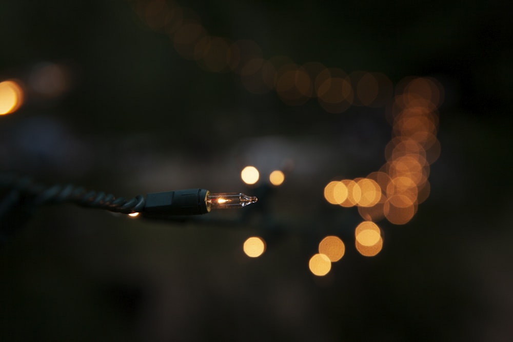 close-up of black-framed string light