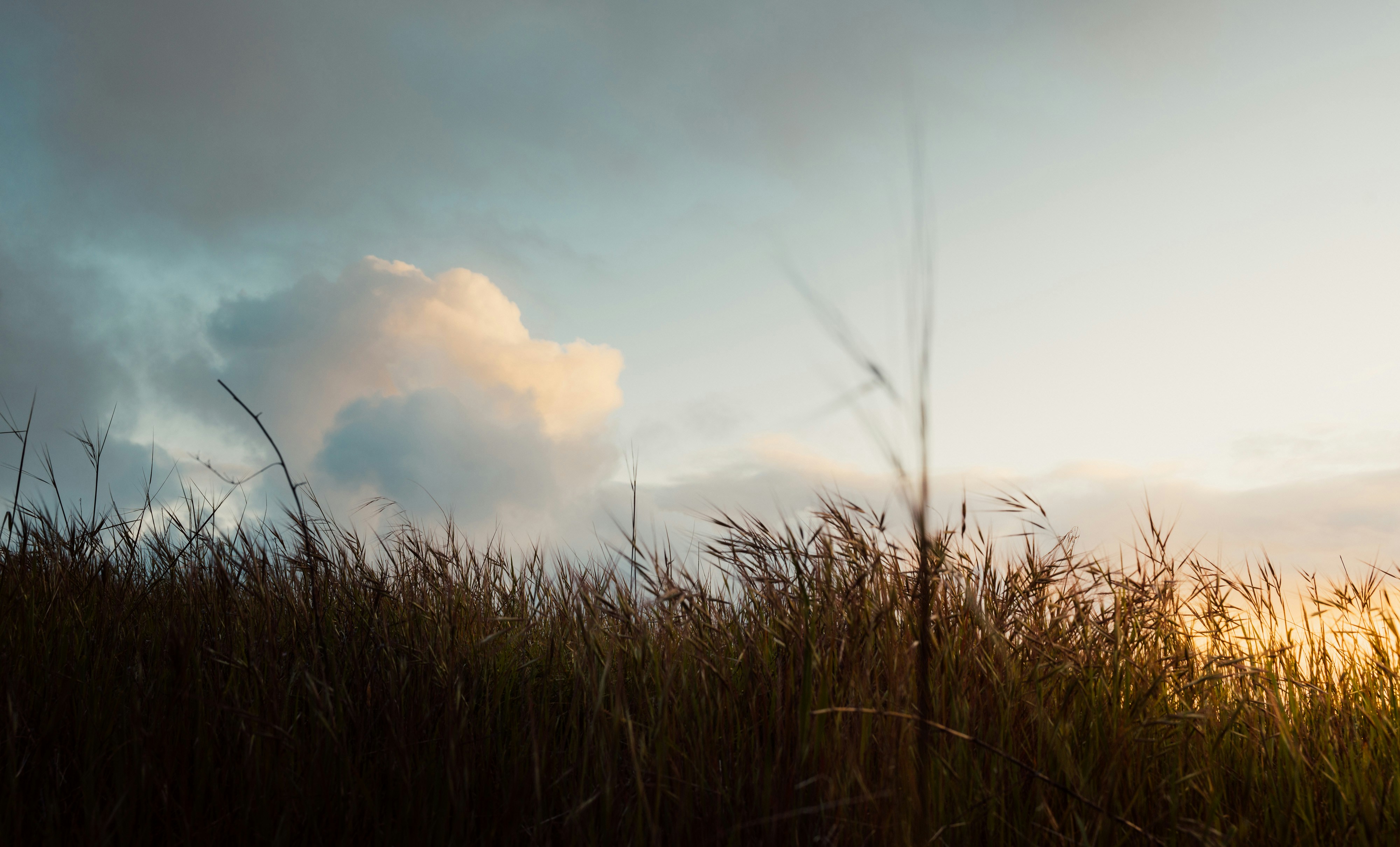 Photo by thommilkovic