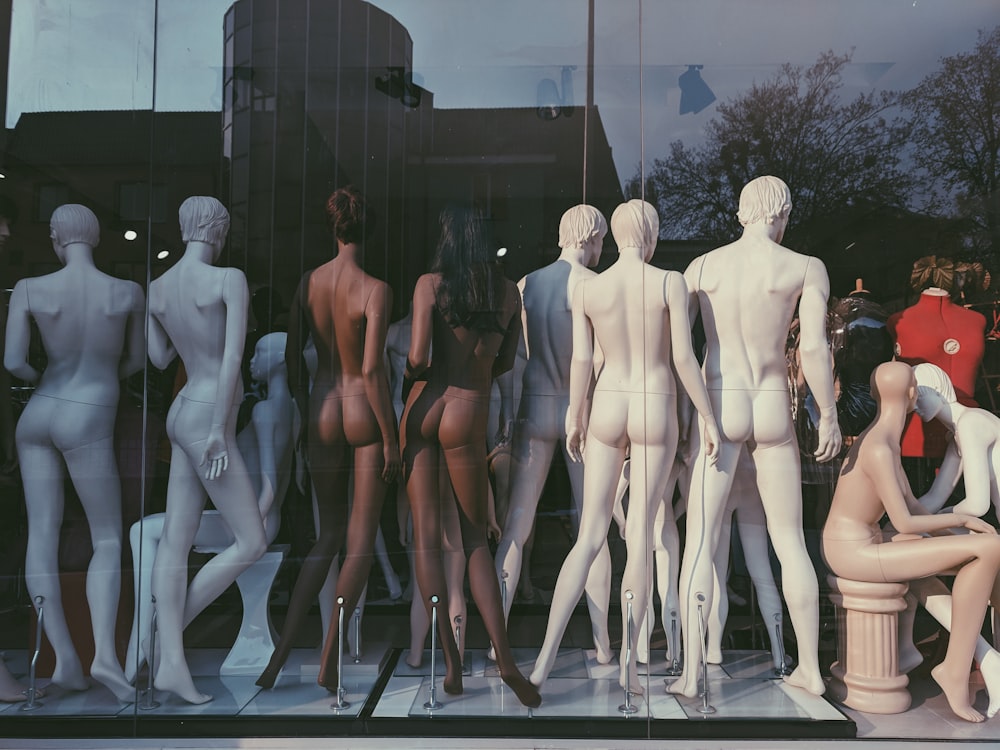 manikins looking backward beside glass wall