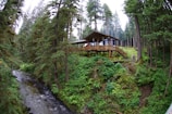 A wooden cabin with a large deck is built on a hillside in a dense forest. The cabin is elevated on stilts, surrounded by tall trees, and overlooks a flowing stream or river in the bottom left corner. The forest floor is covered with lush green vegetation. Two people in colorful outdoor attire are visible to the right of the cabin, walking on a path.