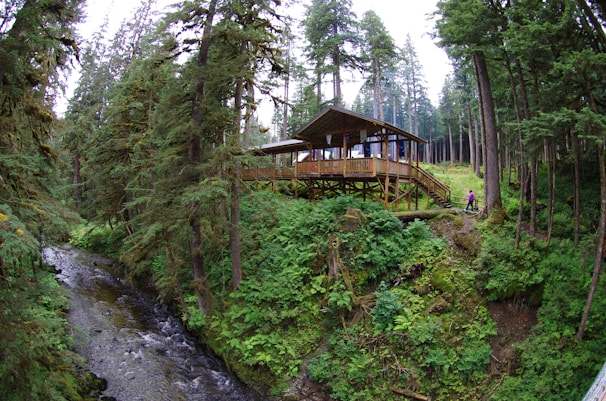 A wooden cabin with a large deck is built on a hillside in a dense forest. The cabin is elevated on stilts, surrounded by tall trees, and overlooks a flowing stream or river in the bottom left corner. The forest floor is covered with lush green vegetation. Two people in colorful outdoor attire are visible to the right of the cabin, walking on a path.