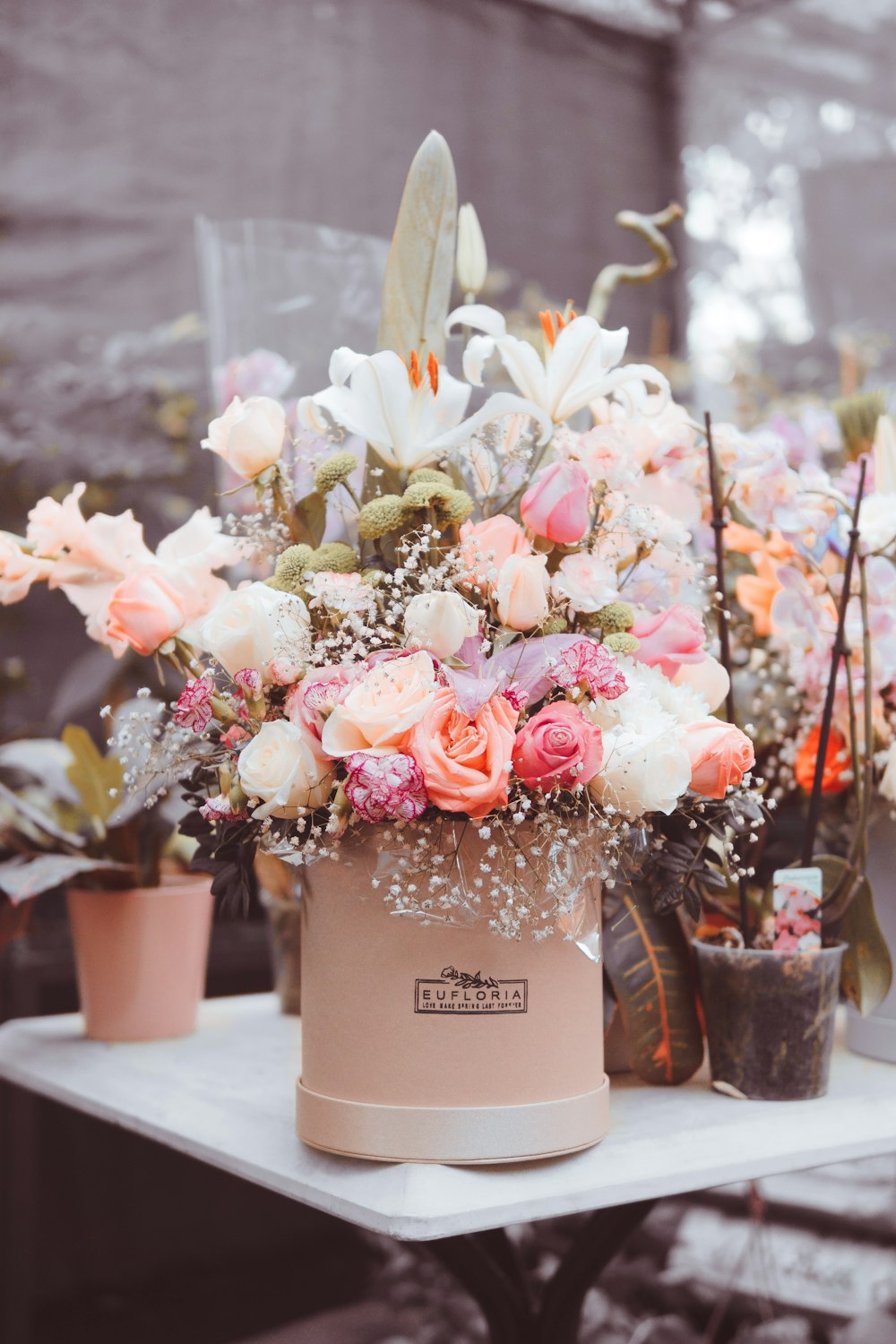 pink roses in vase