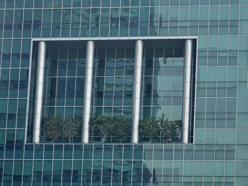 Yes, Window Mesh Effectively Prevents Dengue in Singapore Homes