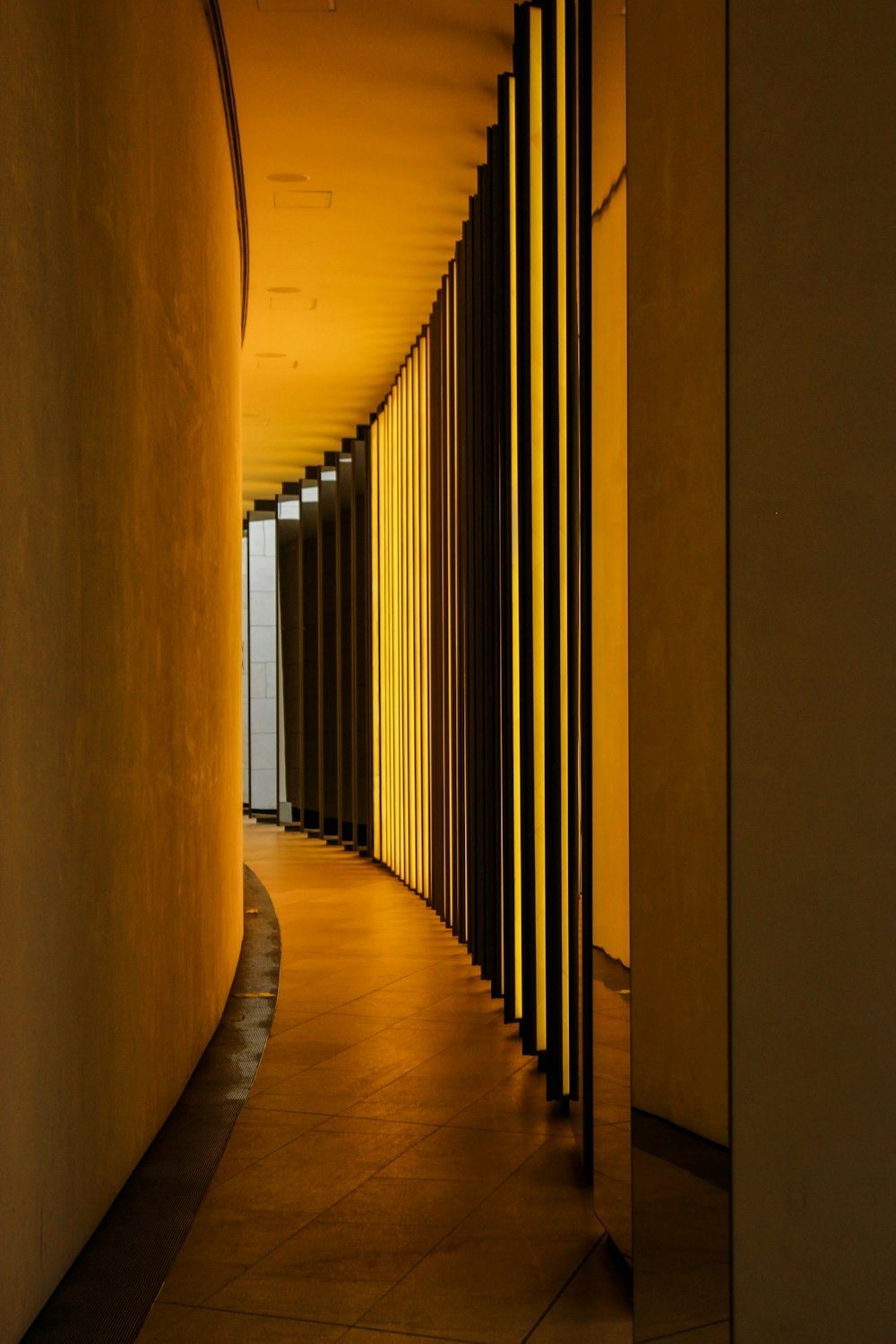 architectural photography of hallway