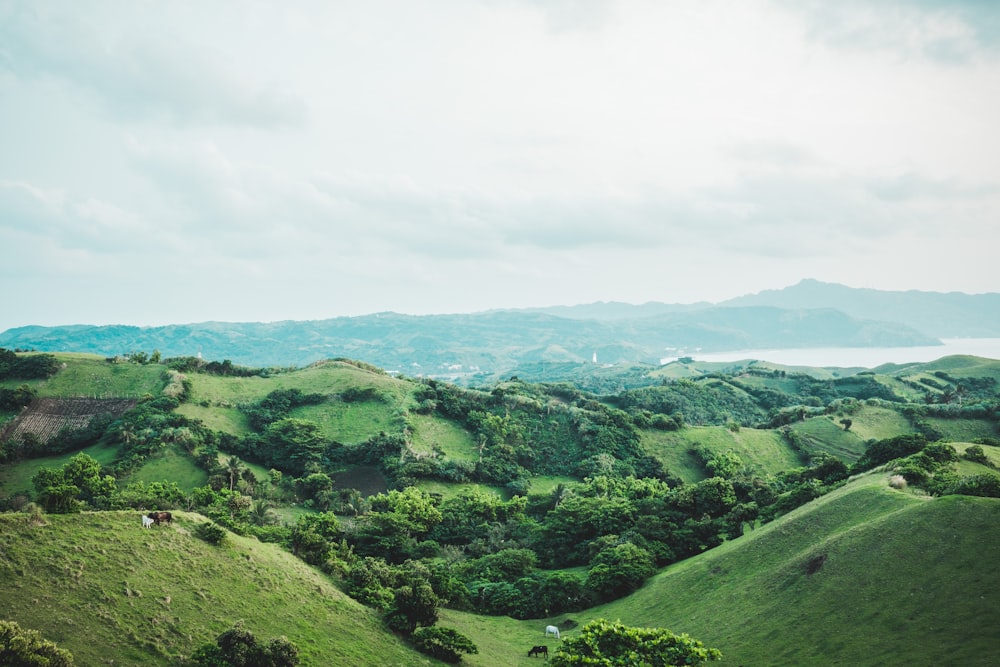 aerial photography of green mountains