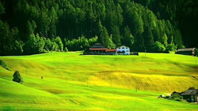 A lush green landscape with rolling hills in the foreground and a dense forest of tall trees in the background. Two quaint houses with red and white exteriors sit at the edge of the forest. The sunlight casts a bright glow on the grassy fields.