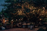 A serene outdoor dining experience under twinkling lights.