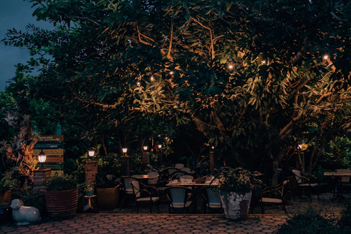 Guests enjoying a lively evening meal under soft golden lights surrounded by greenery.
