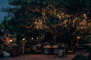 A serene outdoor dining experience under twinkling lights.