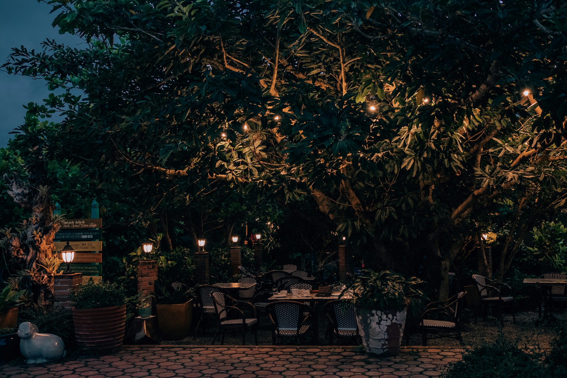 A warm, softly lit garden terrace at night with elegant guests enjoying premium cocktails under delicate string lights.