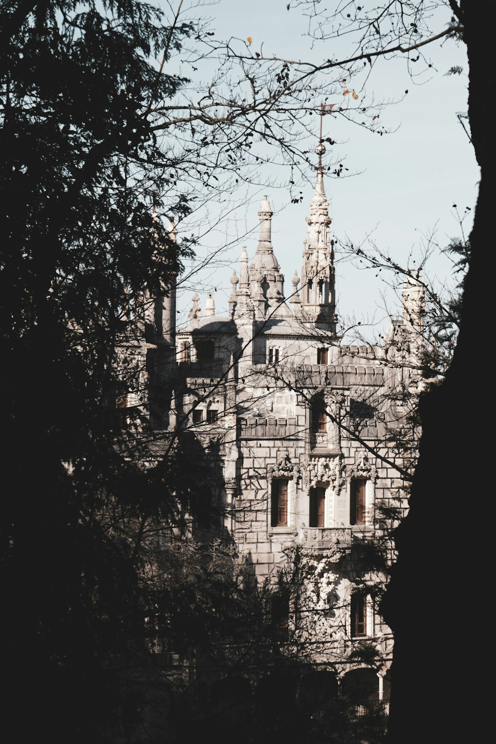 silhouette of tree with view of white castle